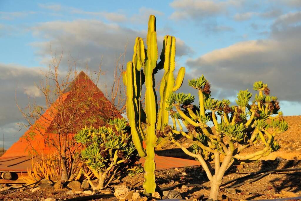 Tranquila Tierra - Eco Retreat Finca Artis Tirma Tarajalejo Kültér fotó
