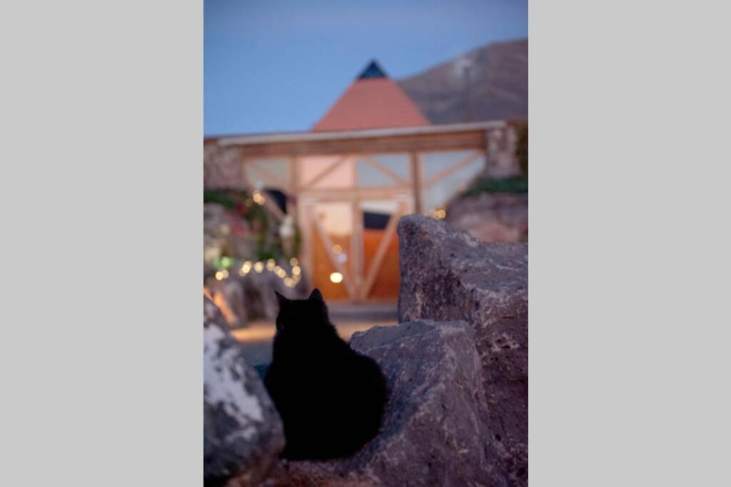 Tranquila Tierra - Eco Retreat Finca Artis Tirma Tarajalejo Kültér fotó