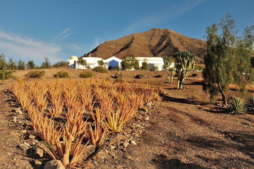 Tranquila Tierra - Eco Retreat Finca Artis Tirma Tarajalejo Kültér fotó